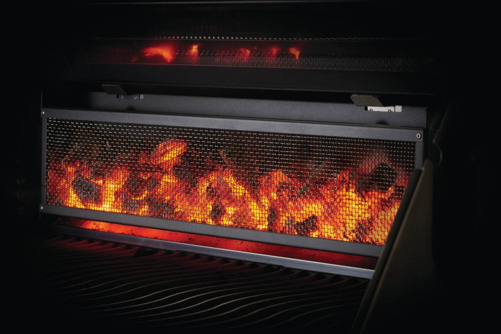 Napoleon Charcoal Professional Pro 605